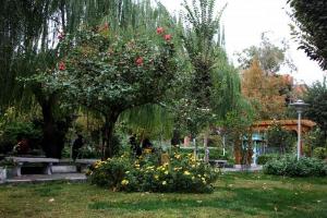 تصویر کوچک