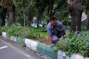 تصویر کوچک