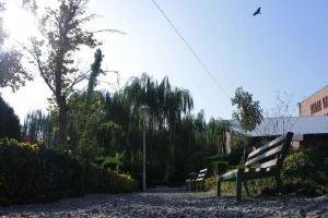 تصویر کوچک