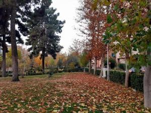 تصویر کوچک