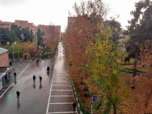 تصویر کوچک
