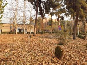 تصویر کوچک