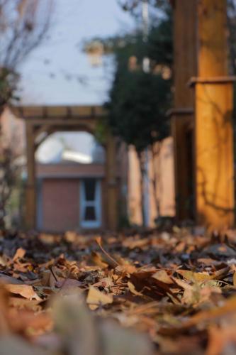 تصویر کوچک